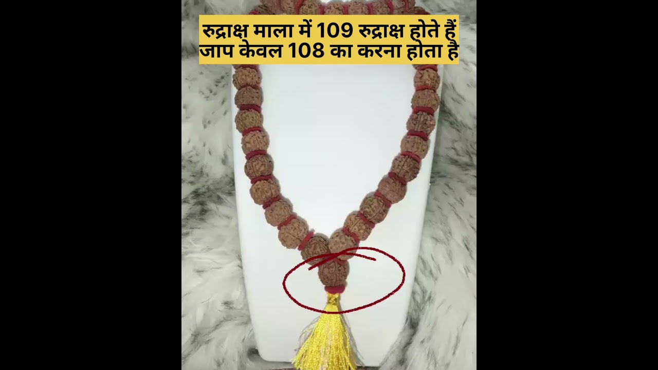 रुद्राक्ष जाप माला में 109 रुद्राक्ष होते हैं || rudraksh mala || shorts