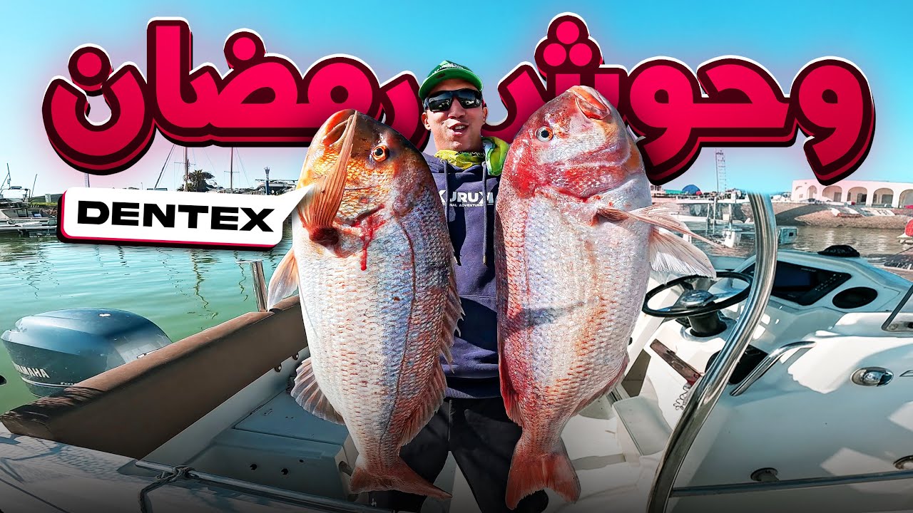 	متابعيني في السوشيال ميديا خرجو معايا للبحر… نهار ما يتنساش وتجربة صيد لا توصف! 🎣