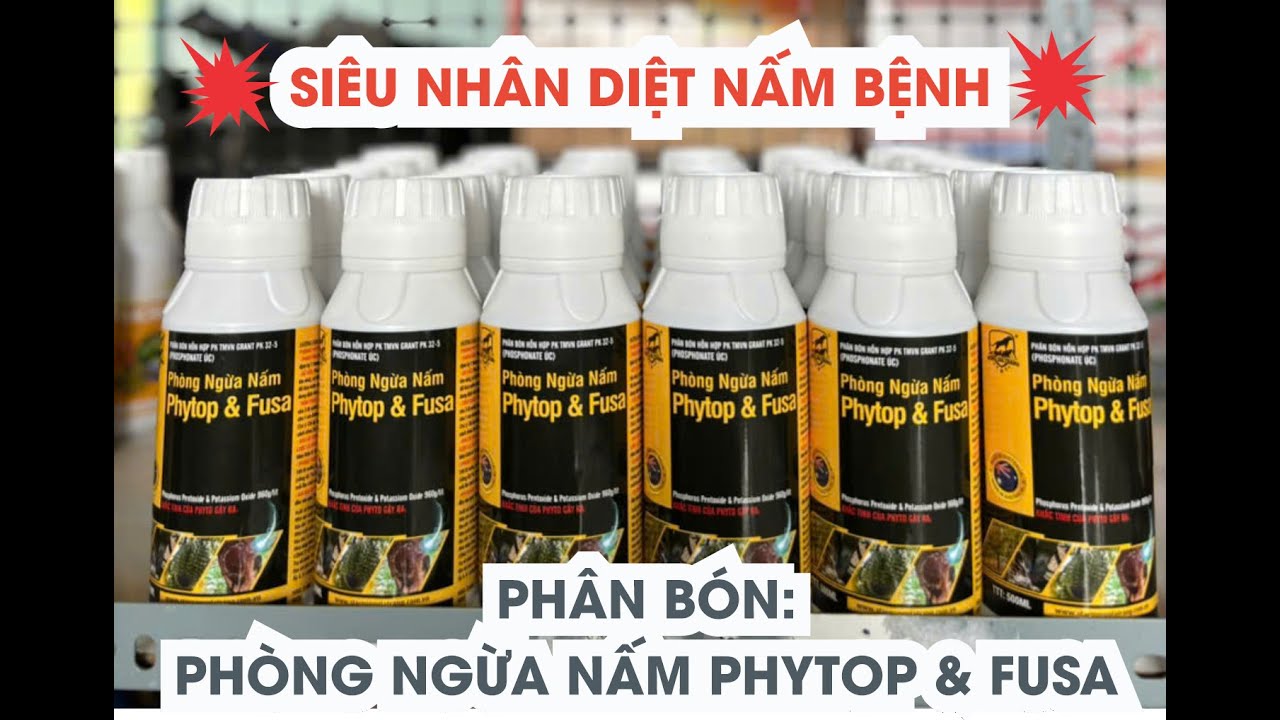 S&Ecirc;U PHẨM 