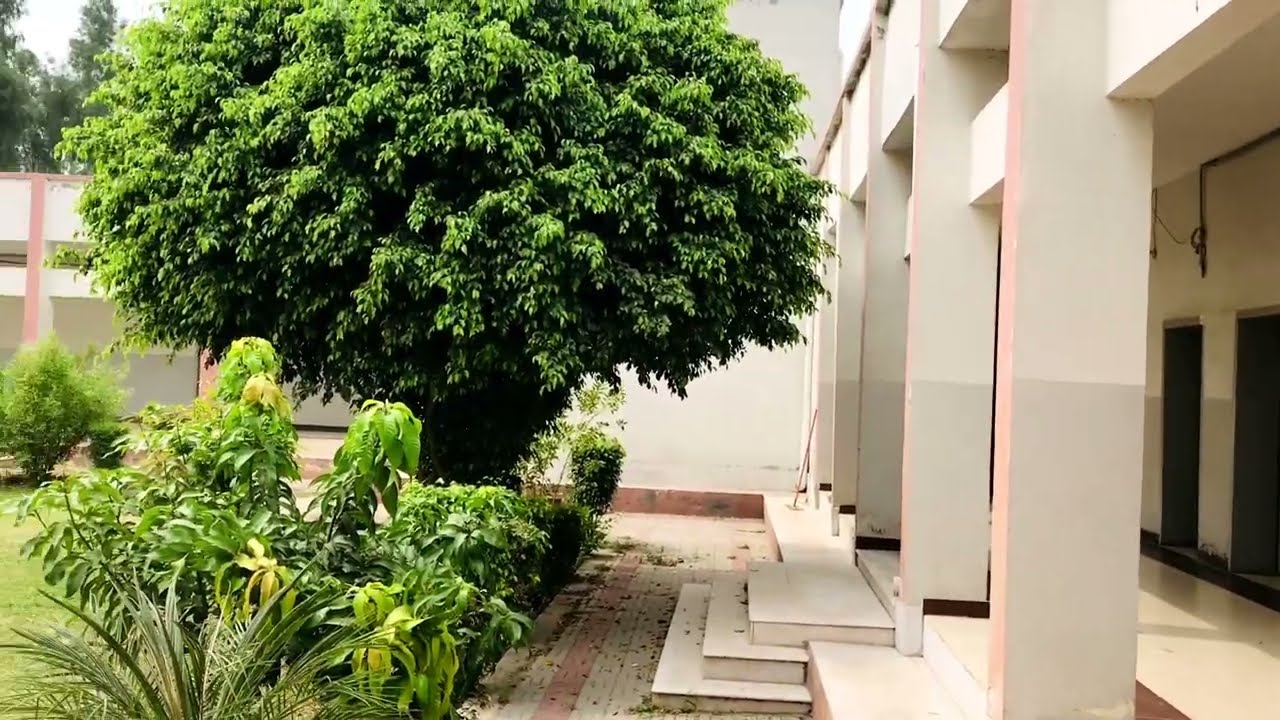Beautiful University of Education Faisalabad Campus