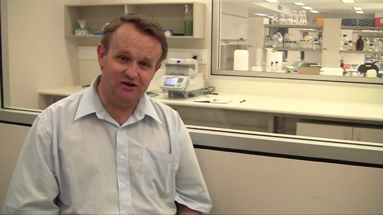 UWA Science majors: Biomedical Science (double major)