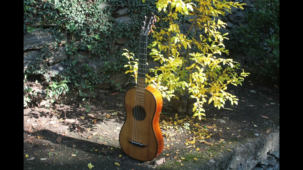 Fernando Sor:  Easy Studies for Beginners  - Guitar: Petitjean Mirecourt