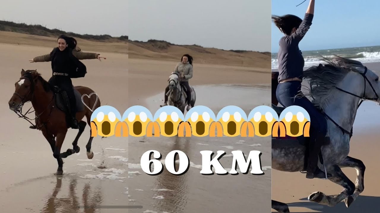 Strong Girls galloping with horses