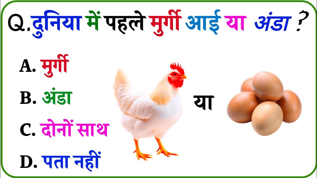 GK Question || GK In Hindi || GK Question and Answer || GK Quiz || VN STUDY POINT