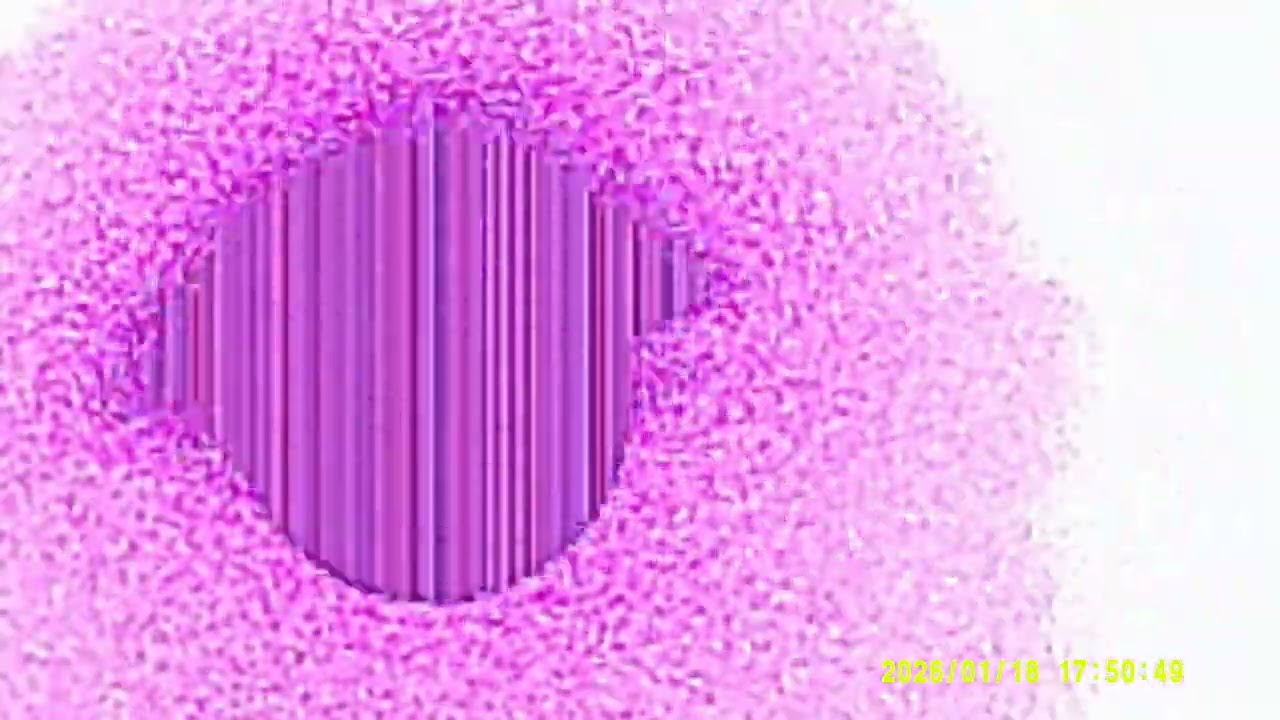 DSCF0018