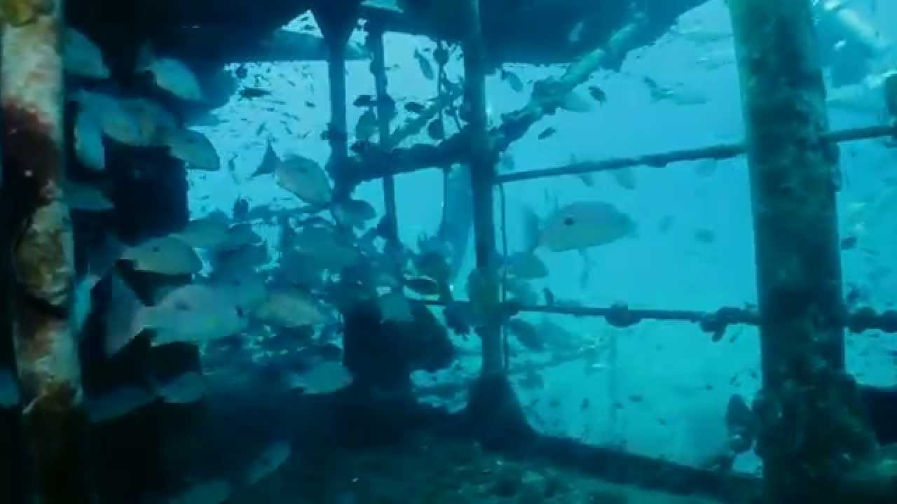 Wreck penetrations of the HTMS Chang, Ko Chang, Thailand