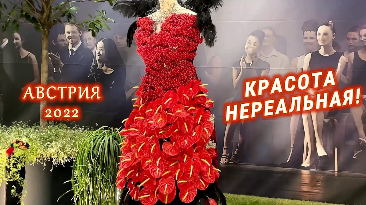 Красота нереальная! Выставка в Австрии, 2022