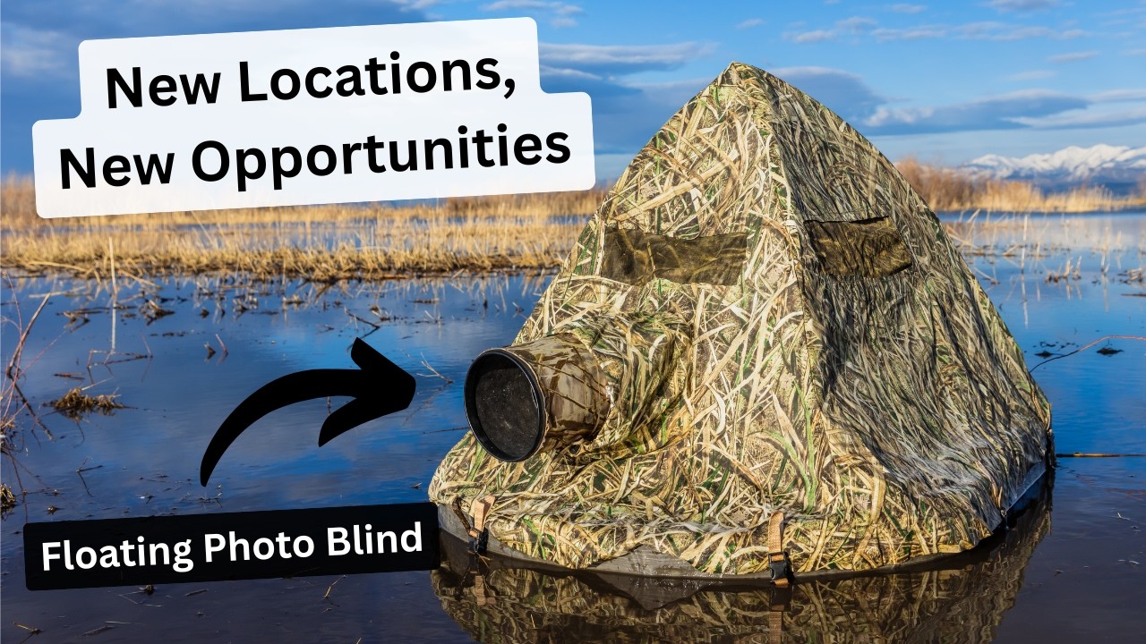 Нашла ИДЕАЛЬНОЕ место для использования своего плавающего фотоукрытия. Результаты говорят сами за...