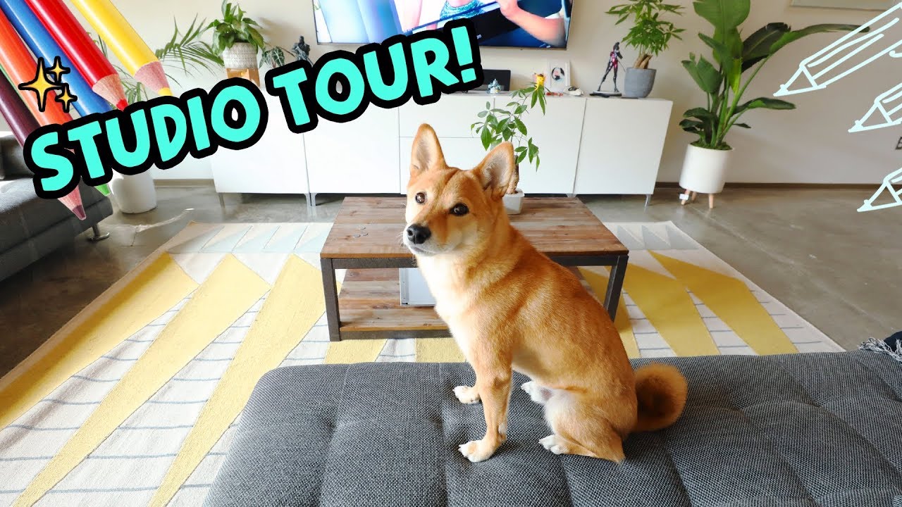 ART STUDIO TOUR! | RossDraws