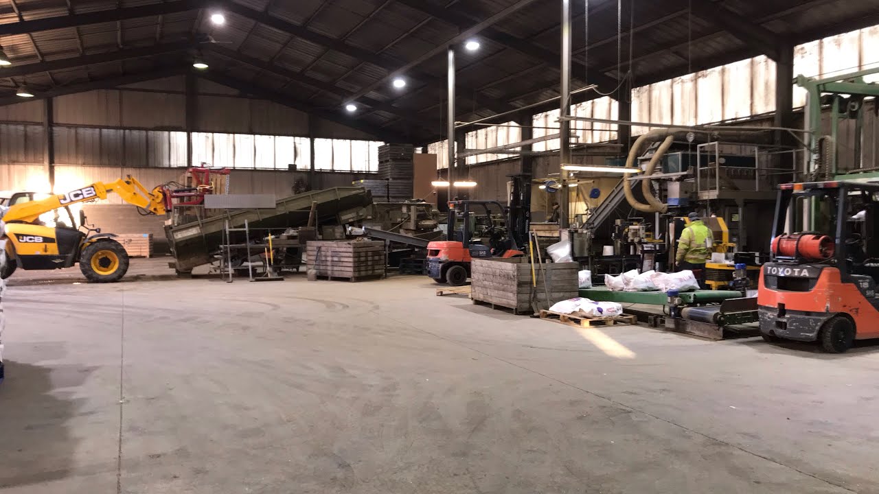Grading and Bagging/packing potatoes. Go pro