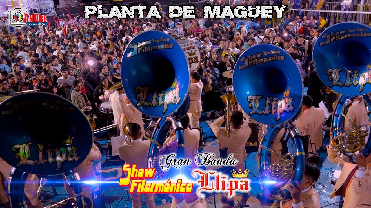Banda SHOW FILARMÓNICA LLIPA ▶ Planta de Maguey / Día del Amigo