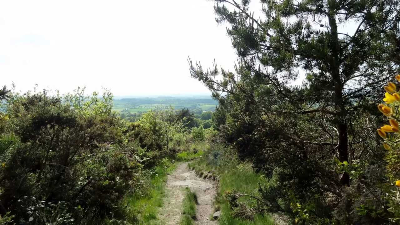 Landes de Locarn & Les Gorges du Corong, Côtes d'Armor, Brittany, France 31st May 2013