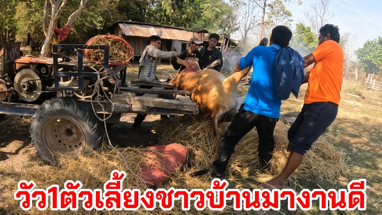ตามประเพณีของชนเผ่า!! เวลามีงานดีหรือญาติพี่น้องเสียชีวิต จะต้องมีงานเลี้ยงไม่มากก็น้อย 