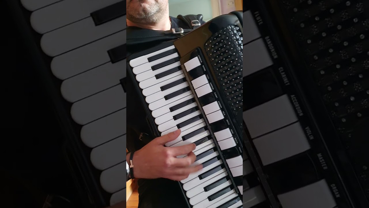 Igor radno (Šumadinac u Parizu) Boban Prodanovic