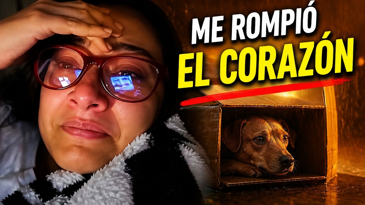 Reaccionando a 