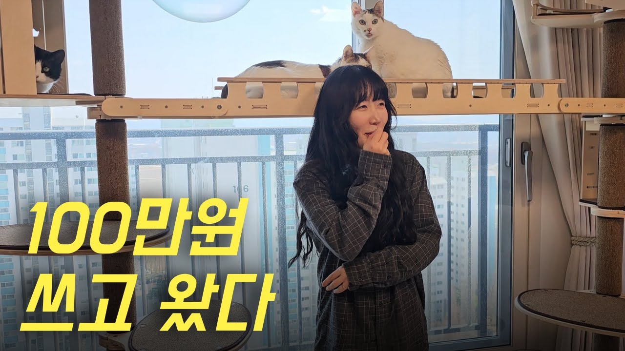 100만원으로 고양이 박람회에서 무엇을 샀을까? / 고양이 용품 소개 및 사용 후기
