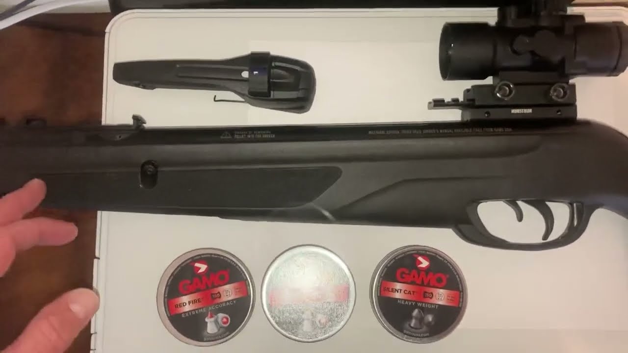 GAMO Swarm Whisper - Accurate? Depends&hellip;