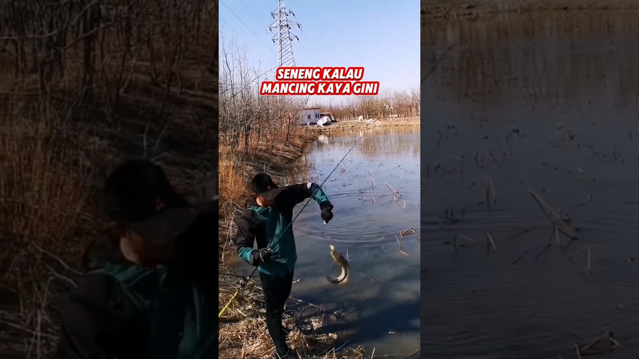 Senang kalau mancing Kaya gini 603 