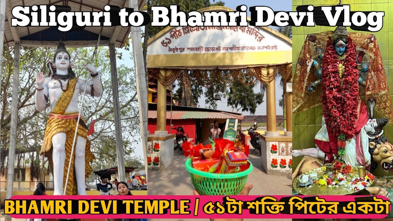 BHAMRI DEVI TEMPLE 🙏❤ || Vamri Devi Mandir || 51 sati pith #siliguri #maakali #mandirvlogs #tourism