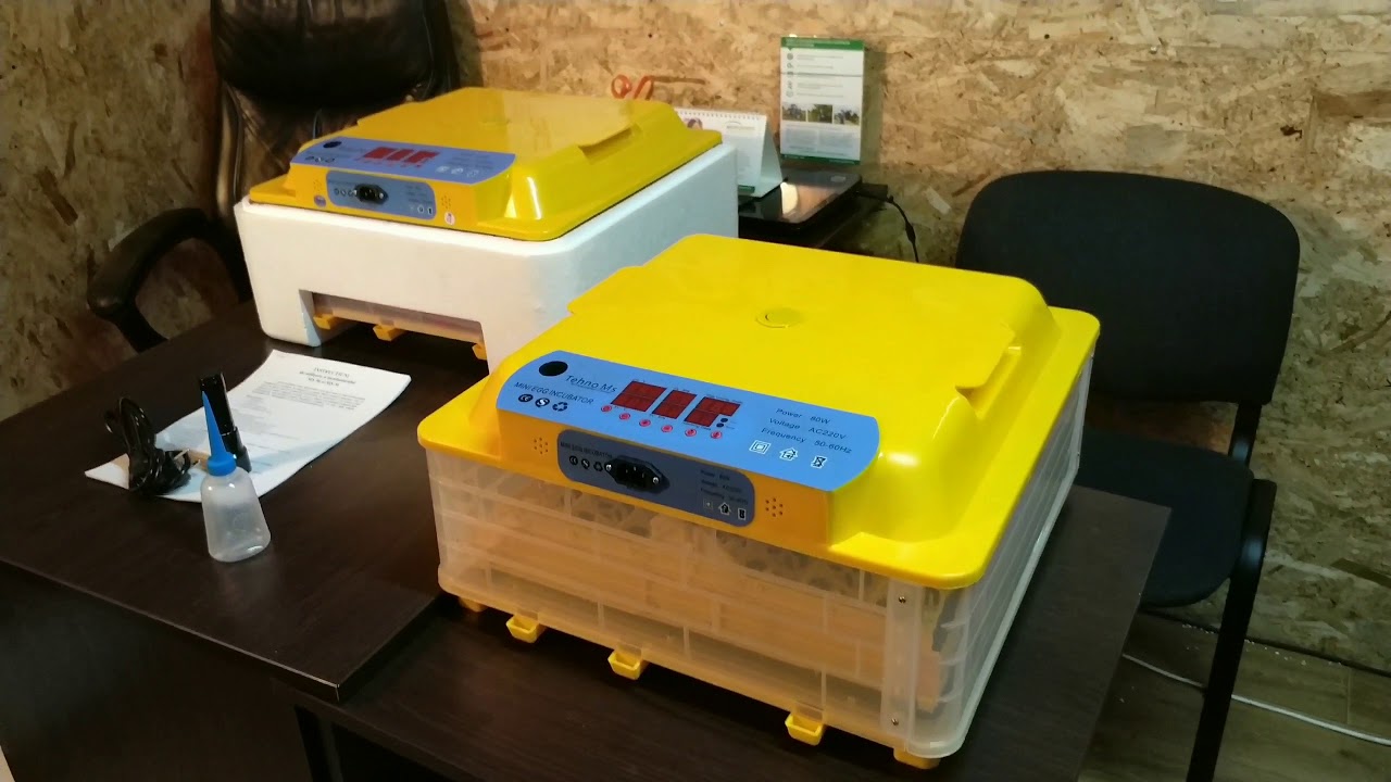 Incubatoarele automate Ms-56 și Ms-36/144