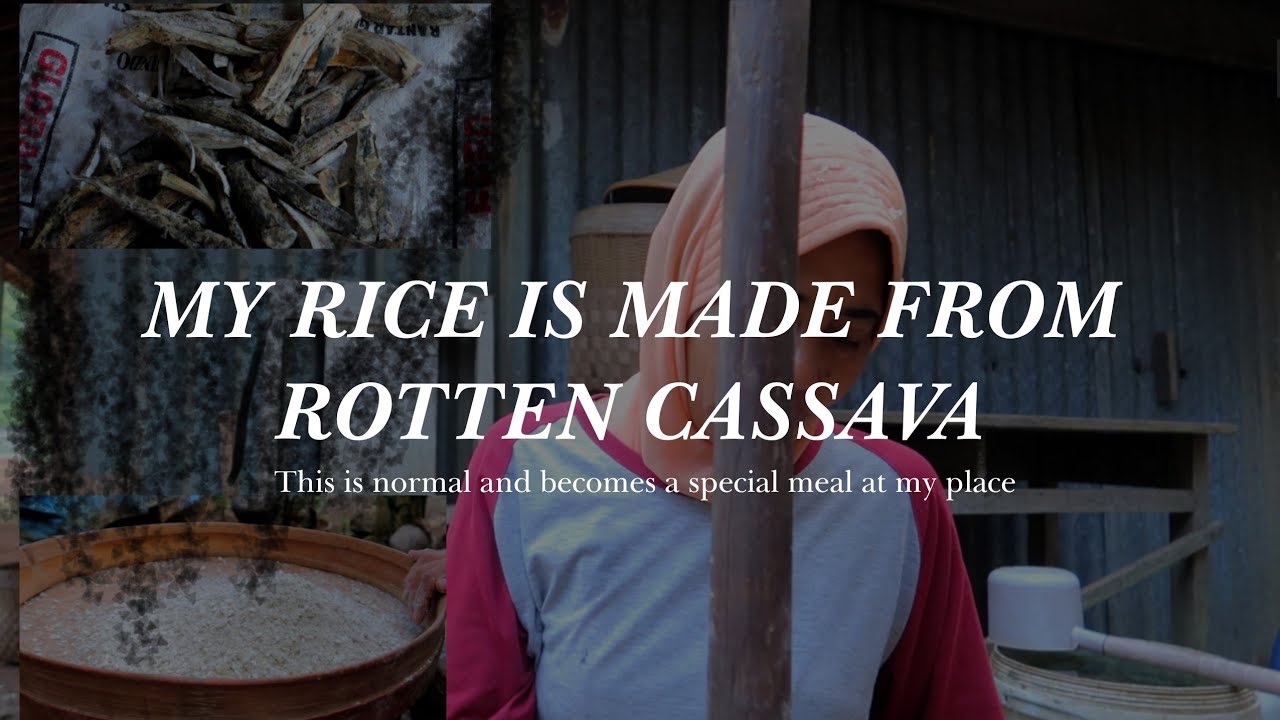 (ENG) Cassava Flour to make Cassava Rice | Mbok Titi • VLOG