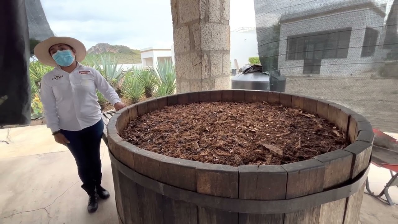 Proceso de destilación de Mezcal