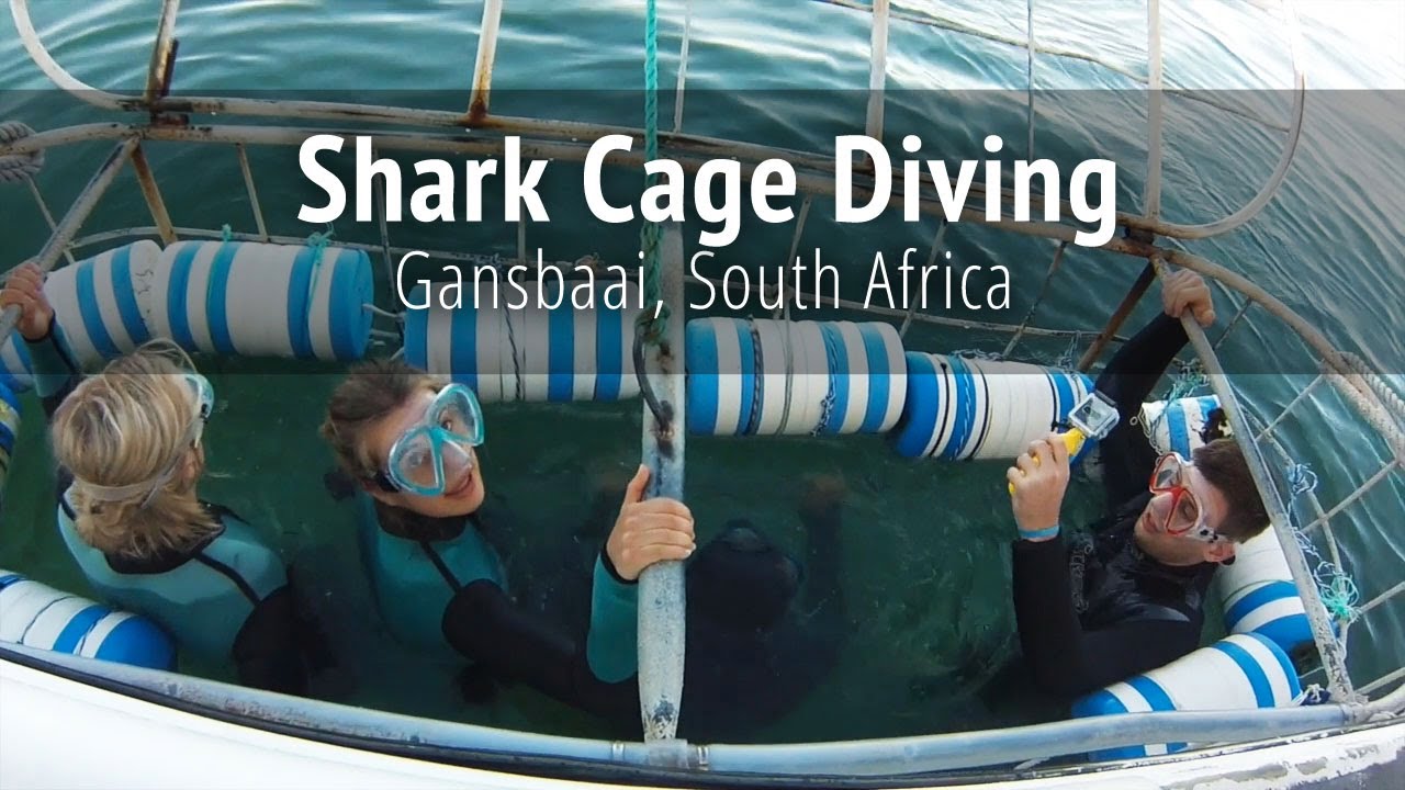 Shark Cage Diving - Gansbaai, South Africa