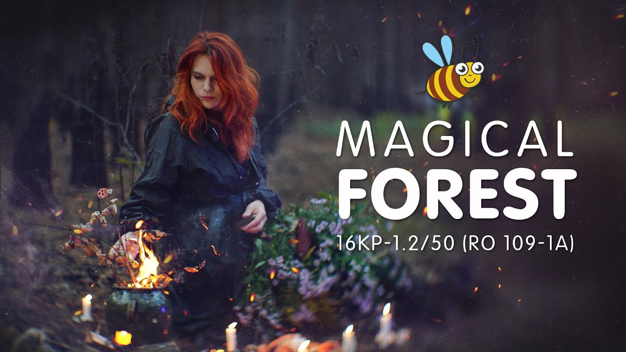 16KP-1.2/50 (RO 109-1A) Sorceress casts spells in the forest, protects nature.