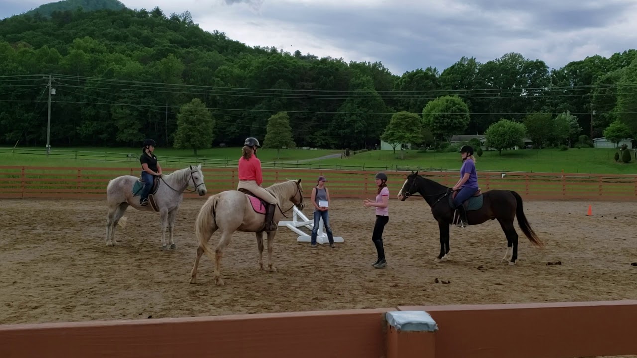 CHA CLINIC Level 4 Jumping Lesson - Audrey Cunningham