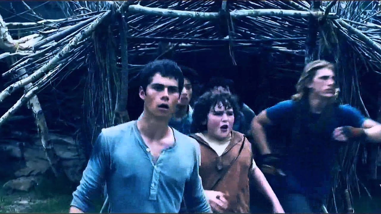 The Maze Runner • The Phoenix