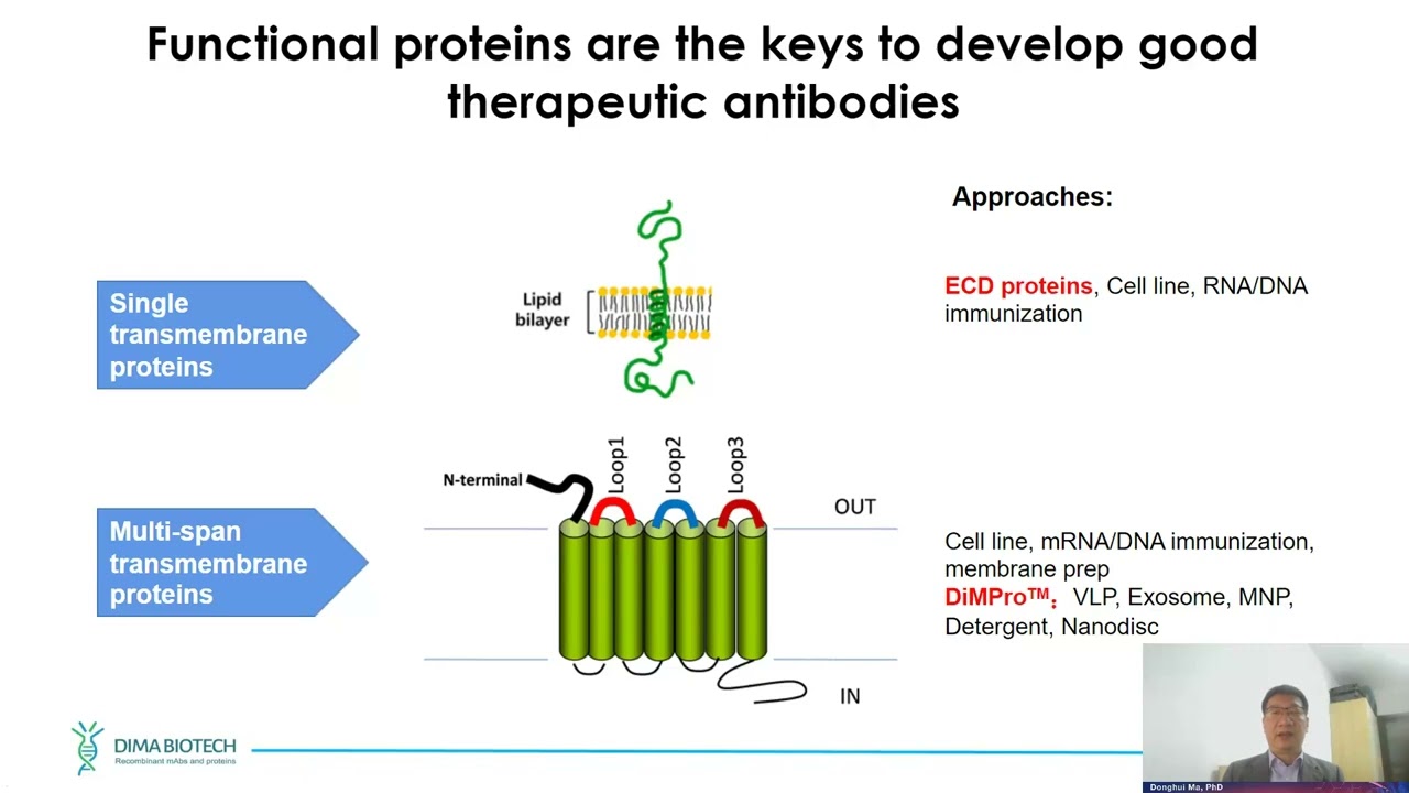 Using Single B Technology to Develop Lead Antibody Molecules on GPCR Targets with Live Q&A