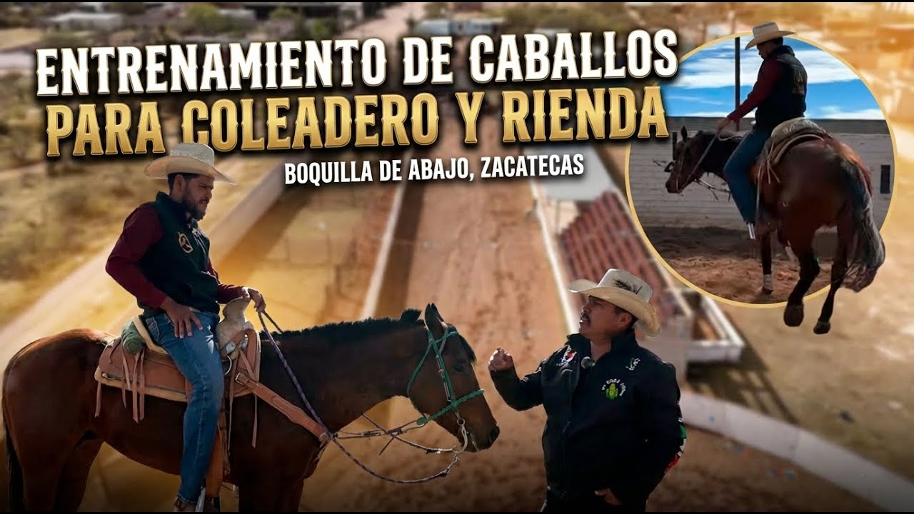 A LO QUE NOS DEDICAMOS MAS ES A PONER LOS CABALLOS AL COLEADERO Y TAMBIRN LES ENSEÑAMOS LA RIENDA