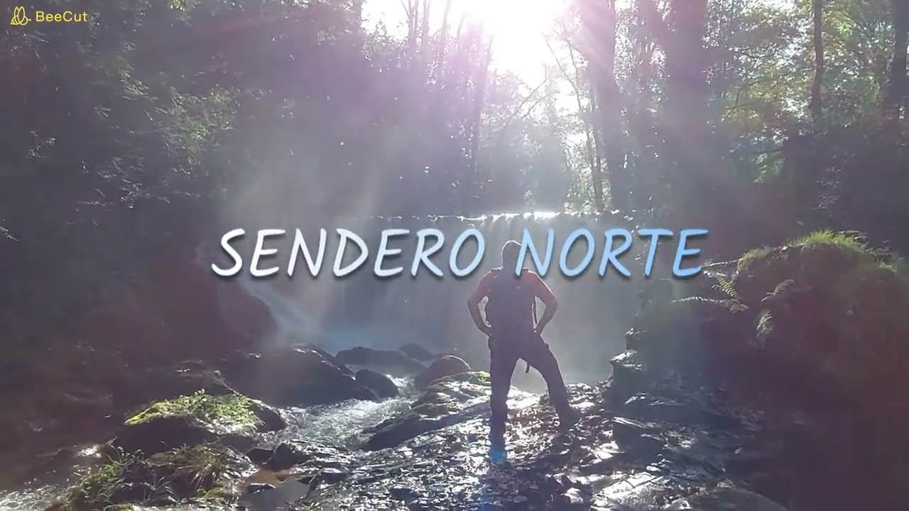 MAZO DE MEREDO