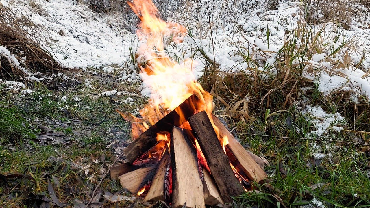 Bonfire in the winter forest❄️ Snow-covered trees and winter atmosphere 🌲
