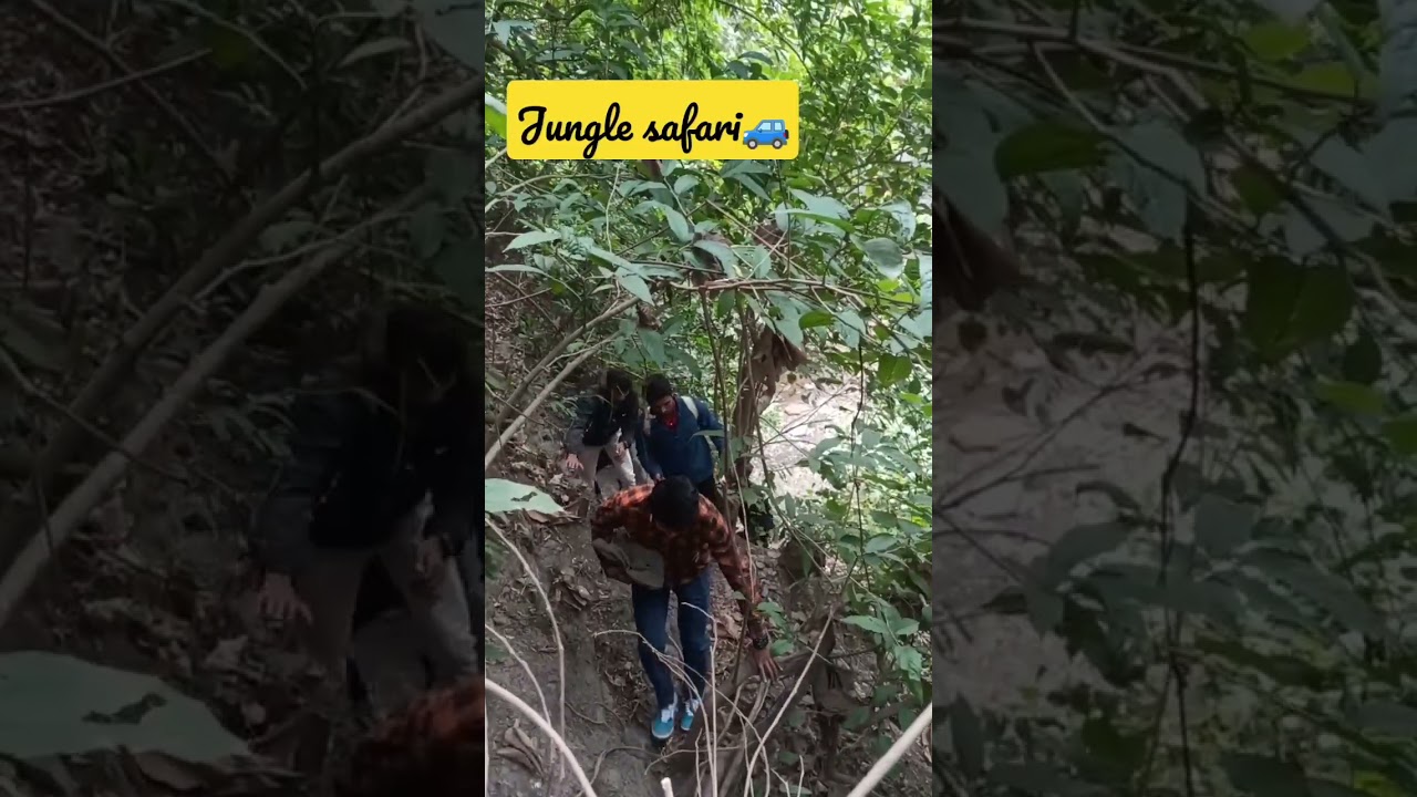 🚙😊#viral #video #viralvideo #viralshorts #jungle #junglesafari #friends #bijulia #bokaro #sitafalls