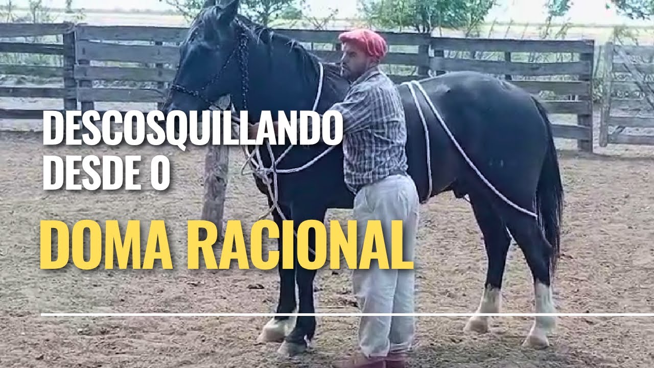 Cómo usar la piola para desensibilizar al caballo