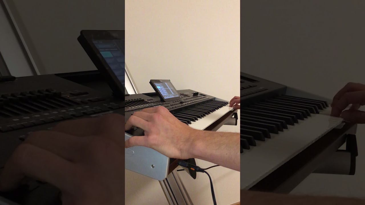 Dada Sali Čoček-Sax live  Korg pa4x