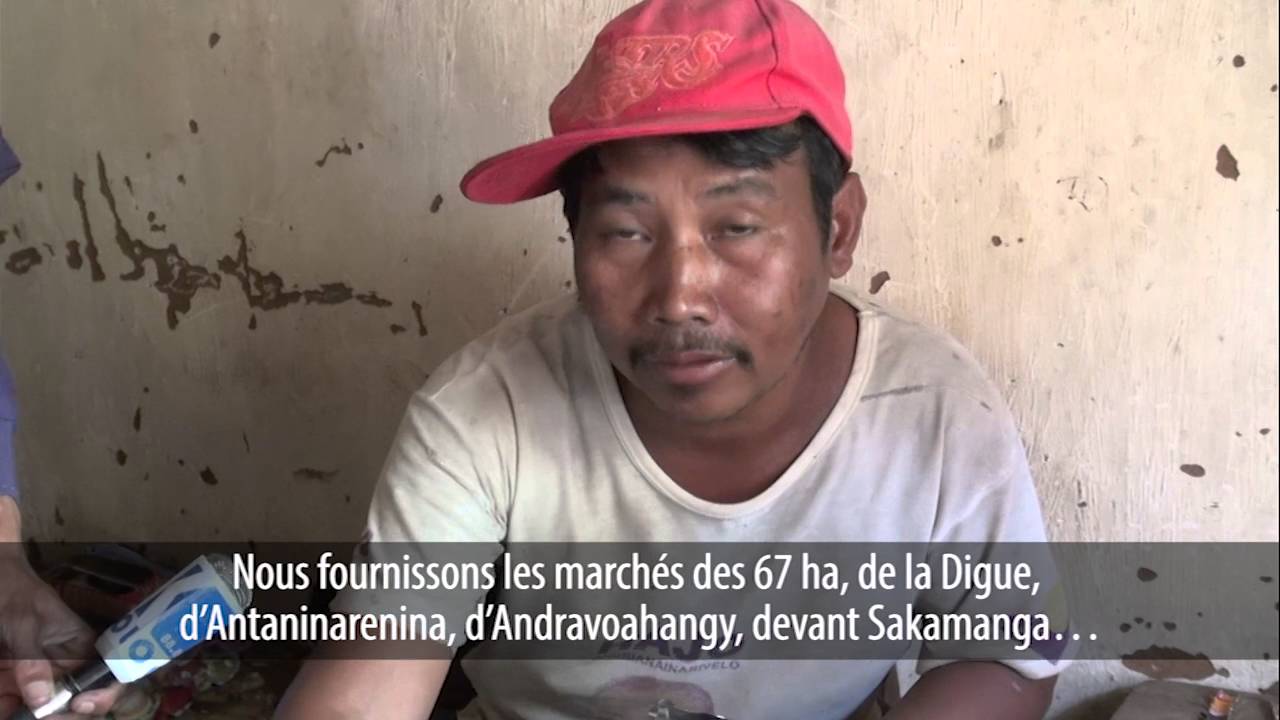 ALALINO du 24 avril 2016 by kolo TV  