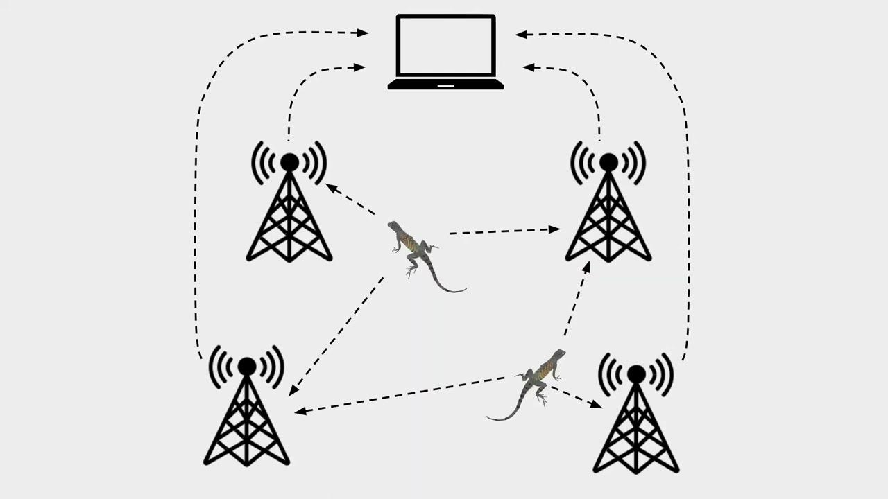Radio Telemetry Tracking: Summer 2022
