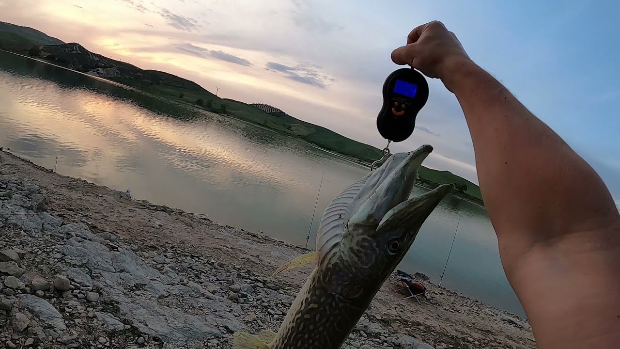 Апрельская рыбалка на водохранилище в Испании