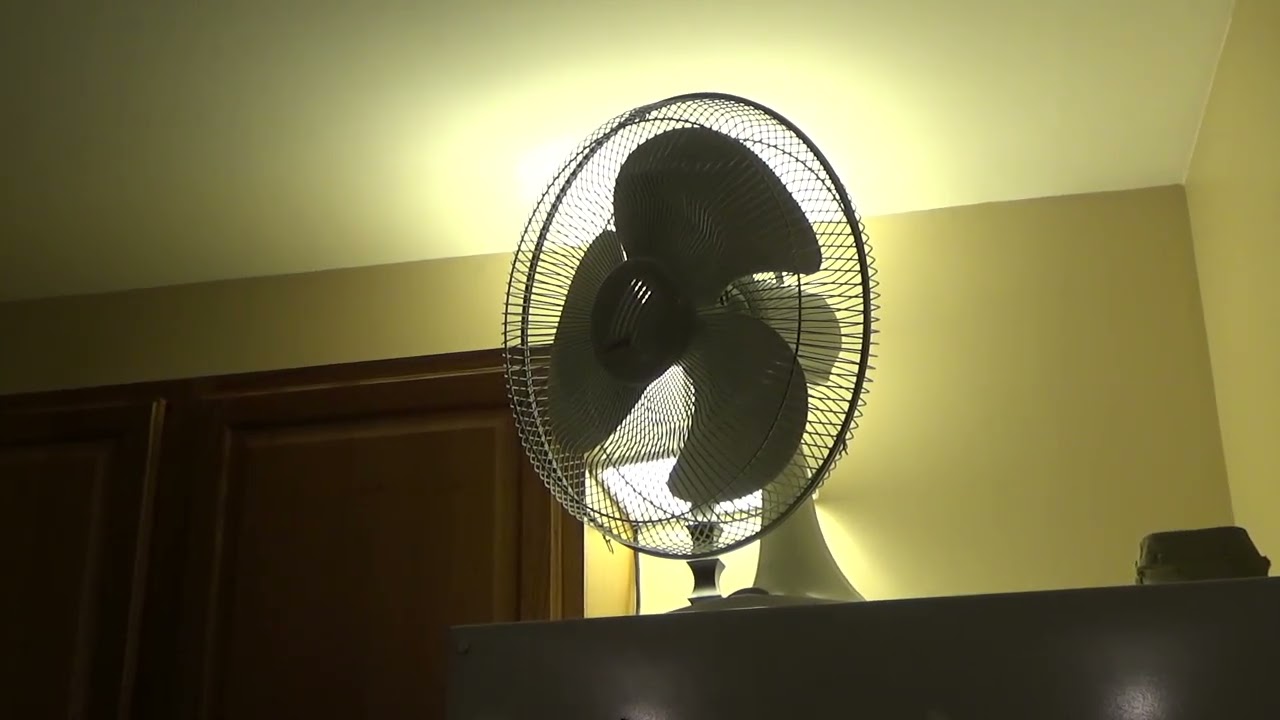 Lasko 2016 16