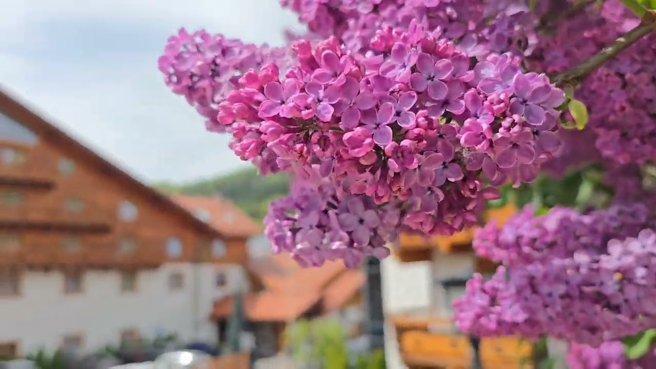 Hotel Meta Resort Vine Spa#Szczyrk