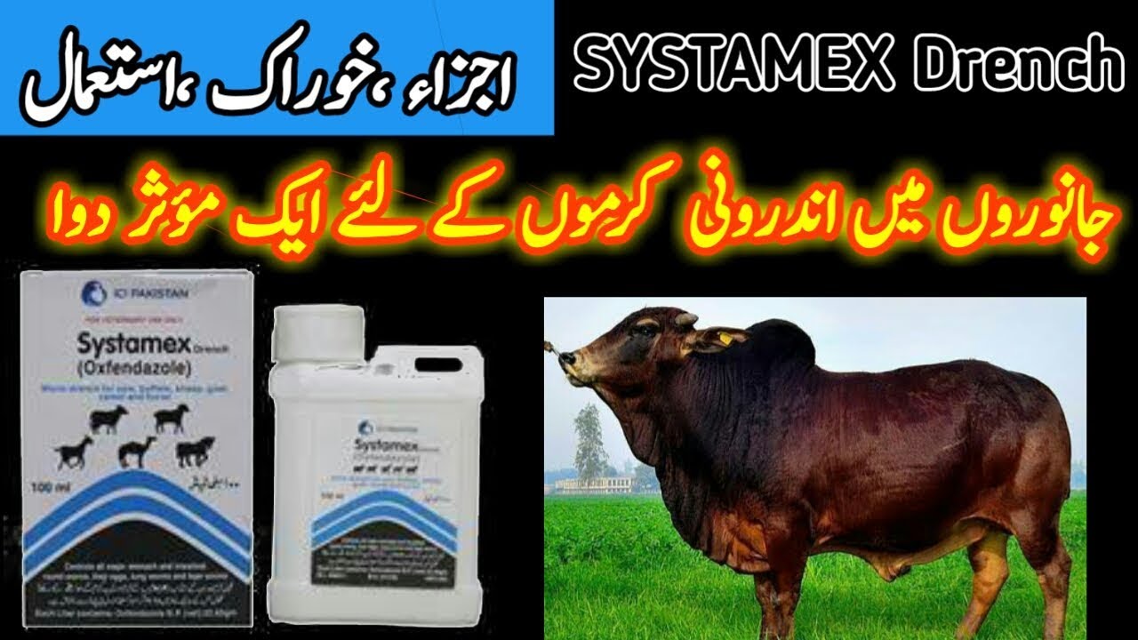SYSTAMEX Drench | Broad Spectrum Dewormer| uses in animals and dosage