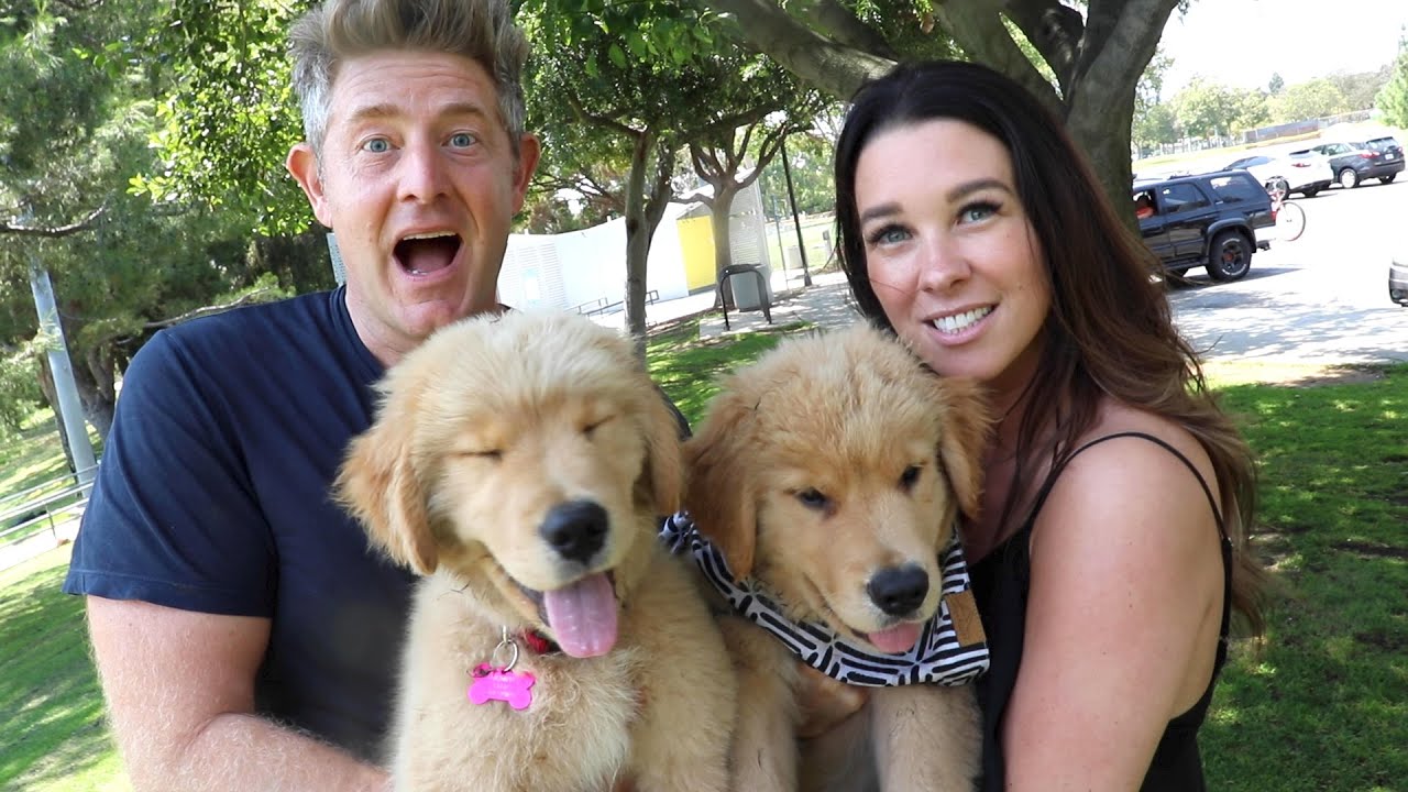 REUNITING PUPPY WITH HIS BROTHER!! (EMOTIONAL)