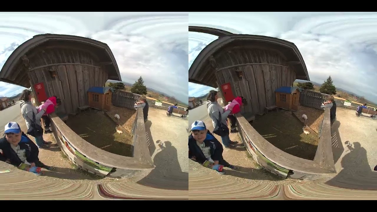Австрия в 3D 180VR.  Gut Aiderbichl