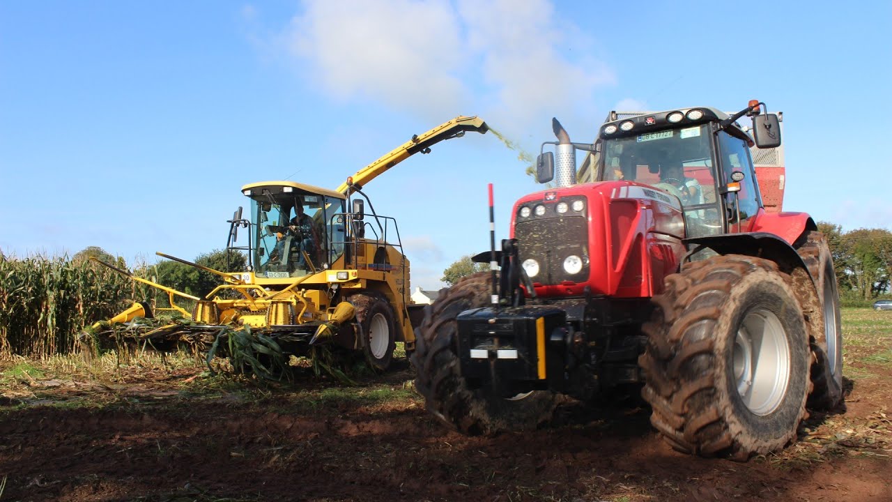 Maize 2021 ~ New Holland FX48 & Massey Ferguson