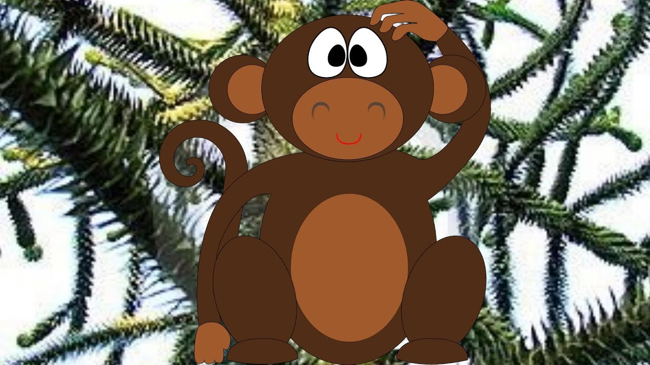 The Monkey Puzzle Song (original song)