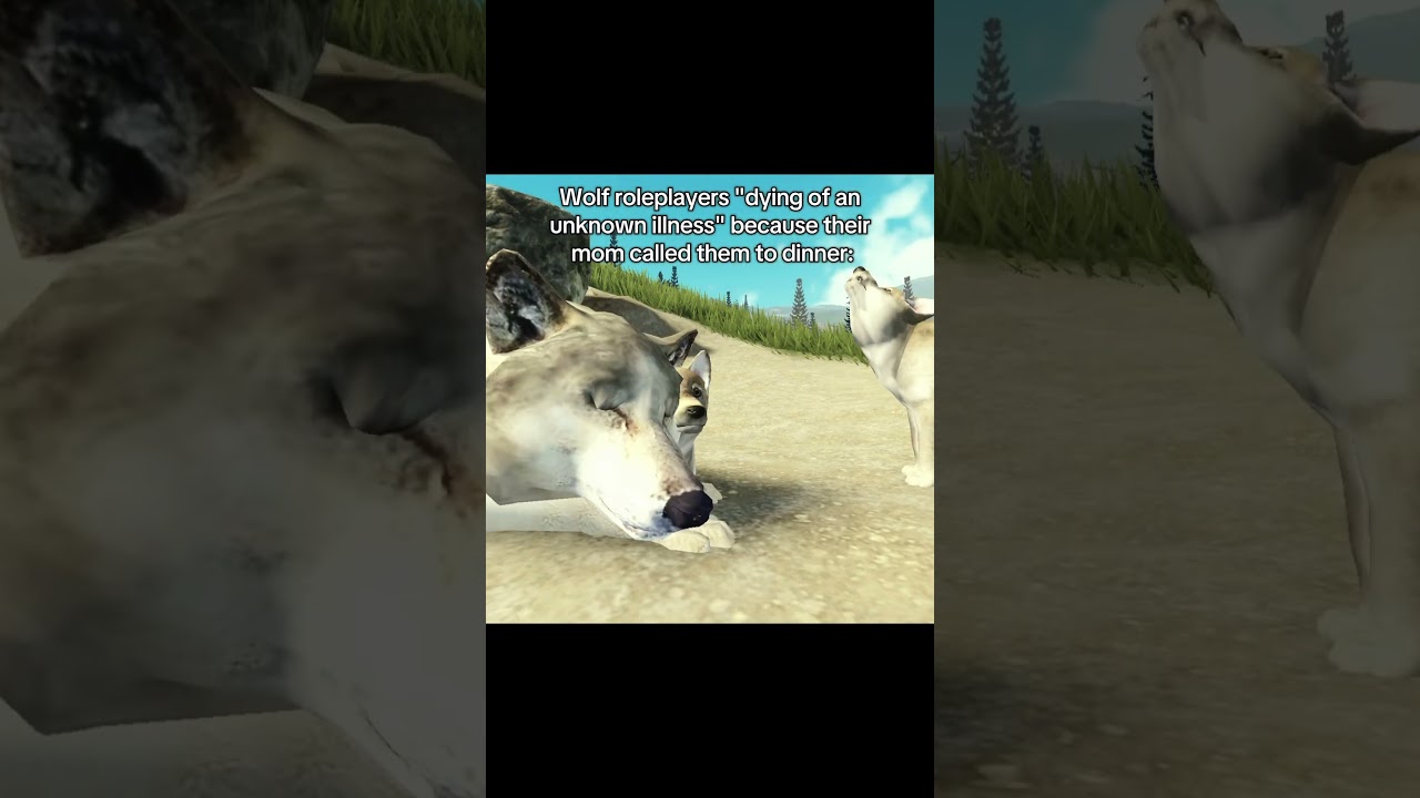 Wolf Roleplayers with Gtgitis - Yellowstone Unleashed #roblox