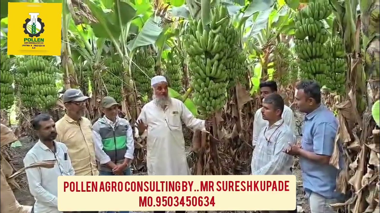 ಕಬ್ಬು ಬೆಳೆ ಬಿಟ್ಟು ಬಾಳೆಹಣ್ಣು ಬೆಳೆದು ಯಶಸ್ಸು ಕಂಡ ಕುಡಚಿ ರೈತ 💐💐👌