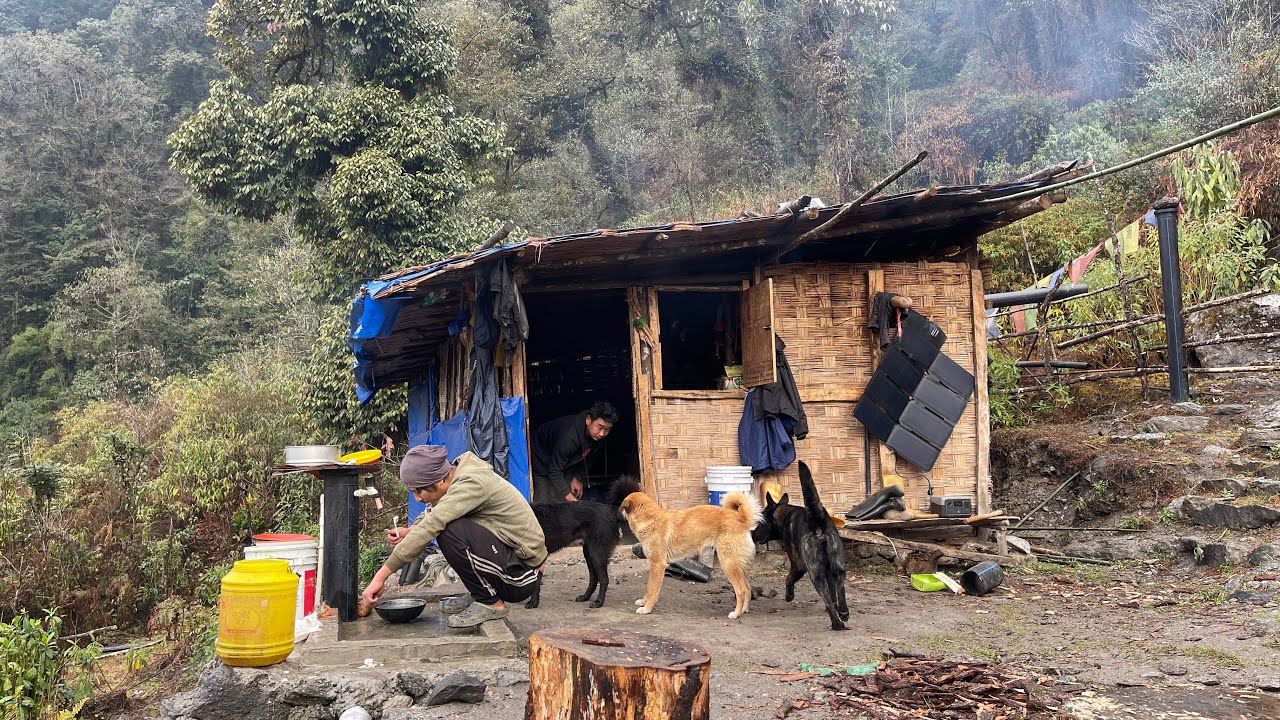 Life in the mountains 